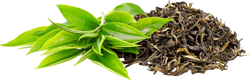 Green tea